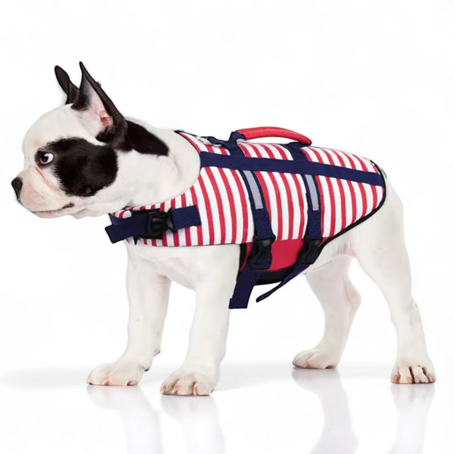 French Bulldog Swim Jacket – Reflective Strips Floatation Vest with Handle