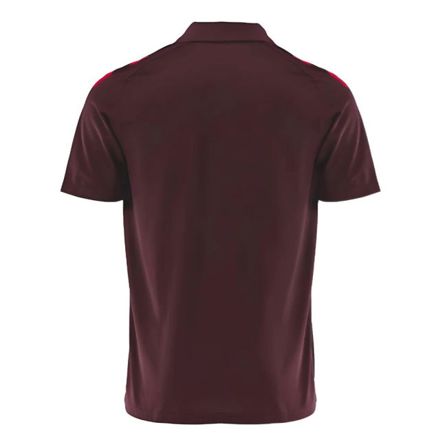 Bayern Munich Performance Jersey 2024-2025