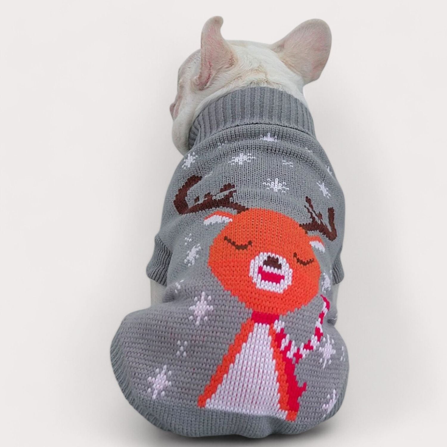 French Bulldog Christmas French Bulldog Sweater – Festive Holiday
