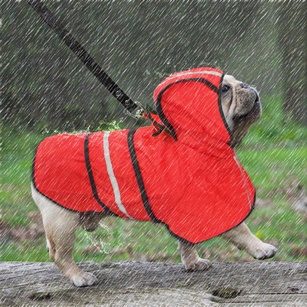 - Bulldog Raincoat For French Bulldog (ws62) For French Bulldogs