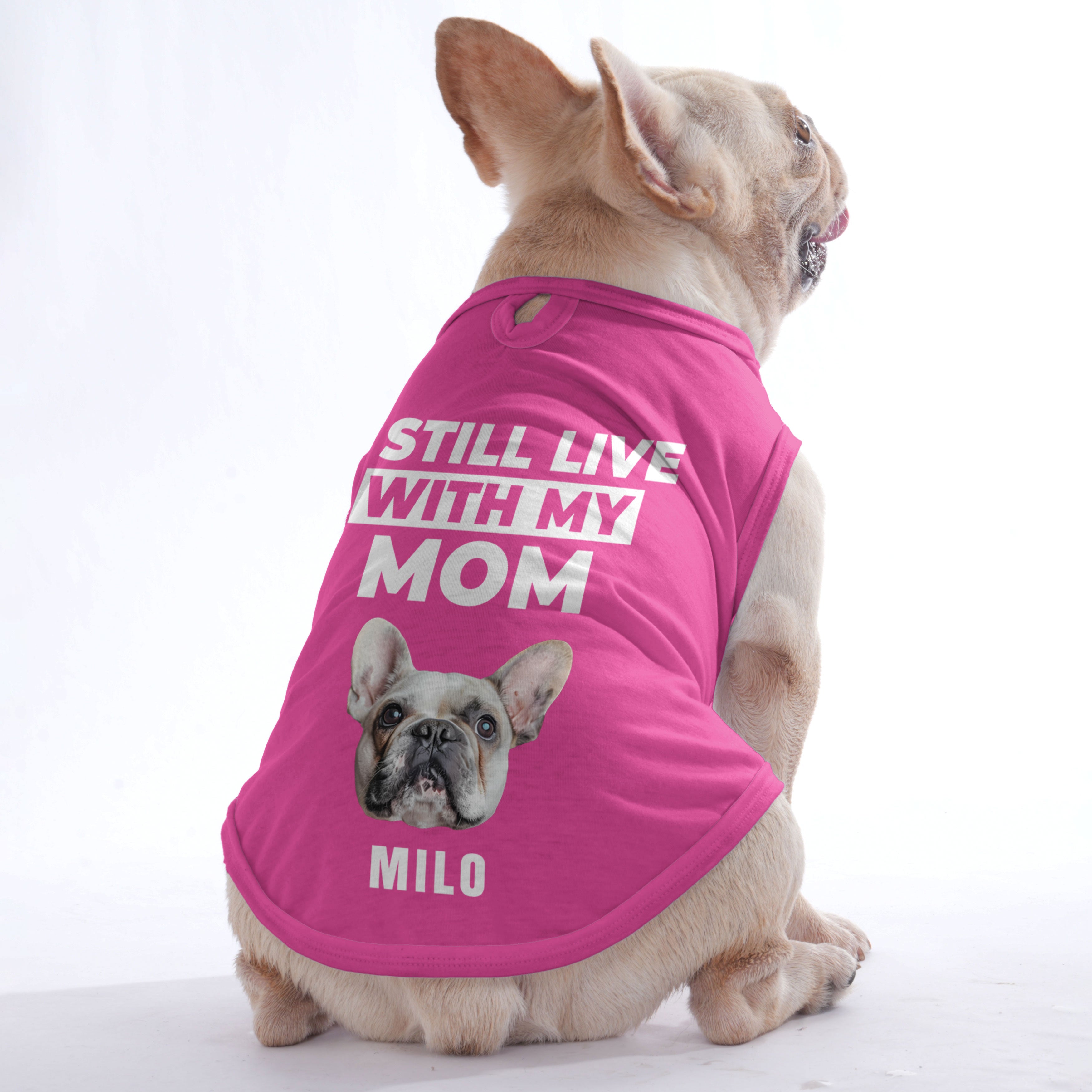 French Bulldog I Still Live Personalized Frenchie Shirt | Custom Dog T
