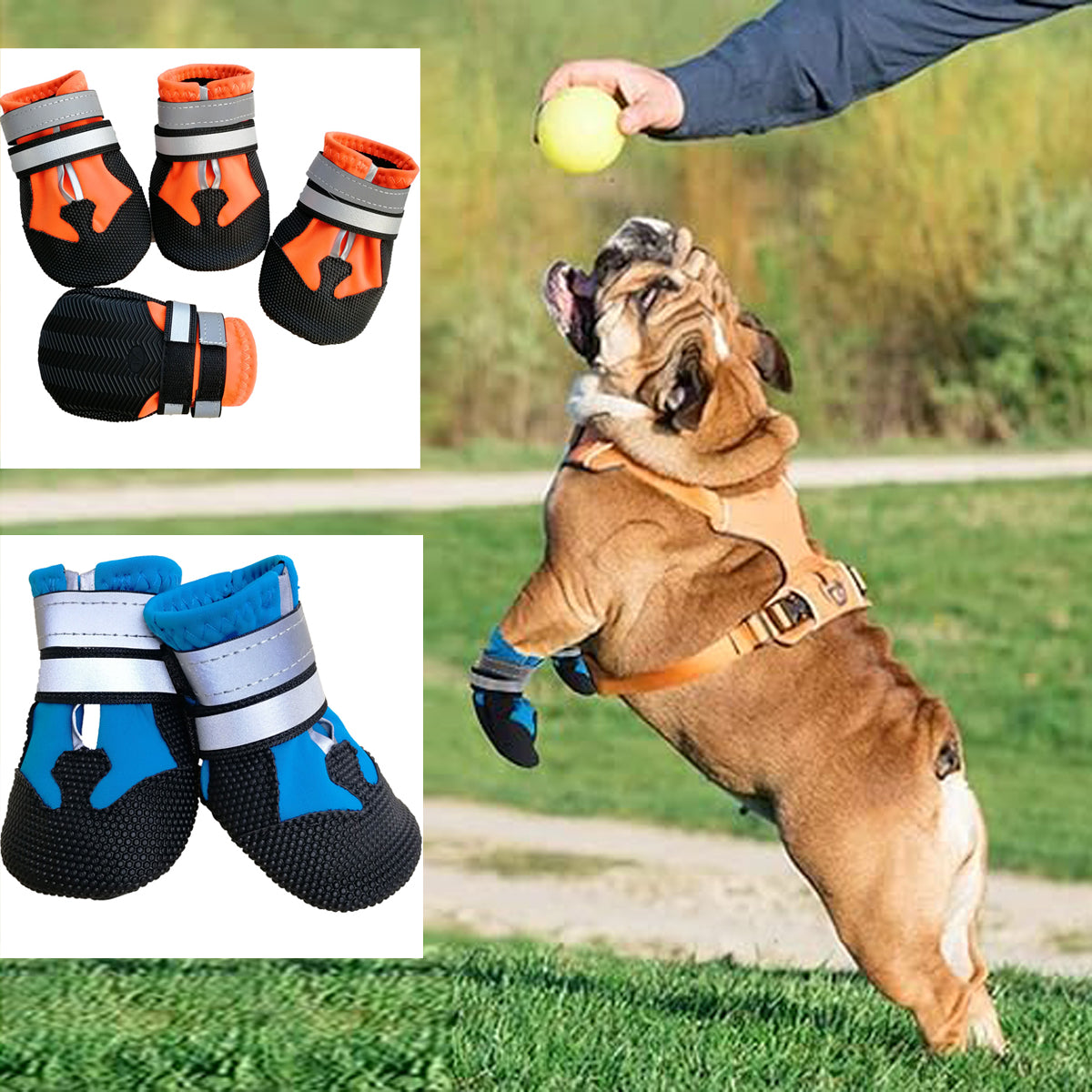 AquaGrip Frenchie Waterproof Shoes Stay Dry and Secure with Reflective Straps and Non-slip Sole