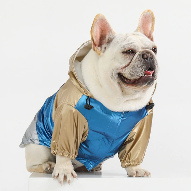 - Safe French Bulldog Raincoat (wj73) Paw Protection | Breed-optimized