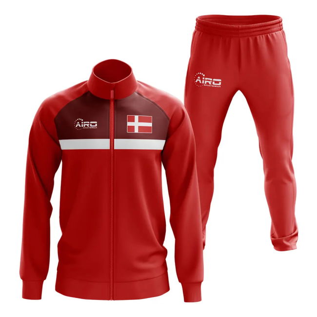 Denmark National Side Fan Shirt - Adults Version