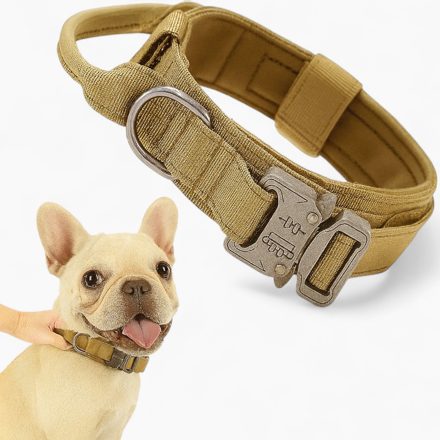 Weather-Resistant Tactipup Frenchie Tactical Collar – Durable Adjusta...