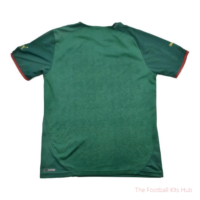Cameroon 2010-11 Home Shirt ((Excellent) L) (Your Name)