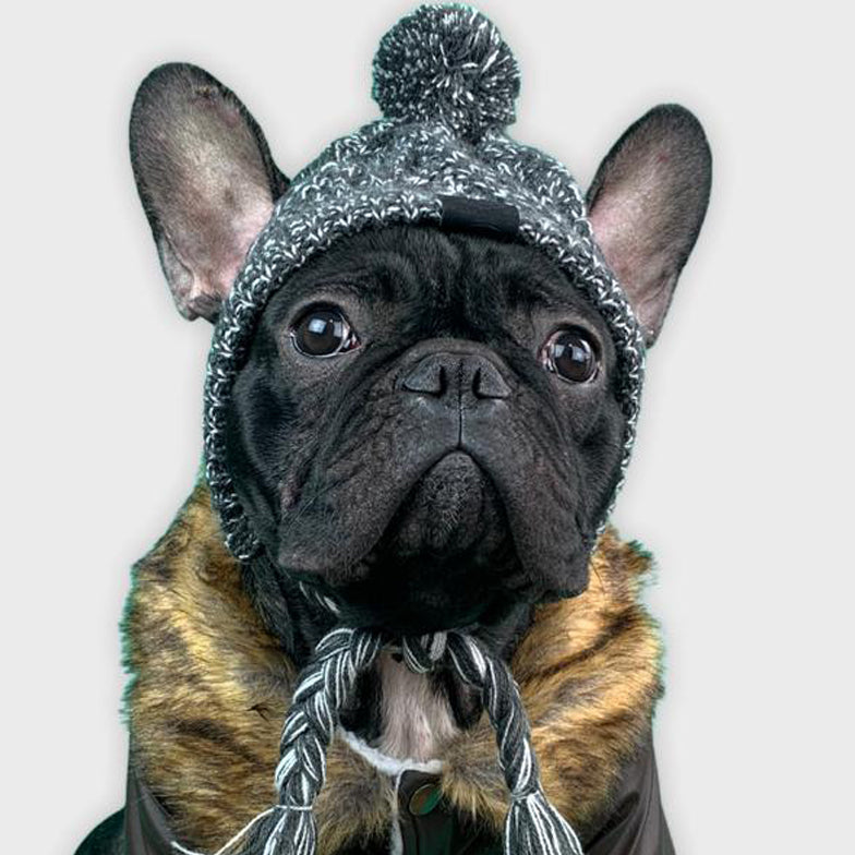 French Bulldog Windproof Woolen Winter Cap For French Bulldog (ws312) Warm Dog Outfit