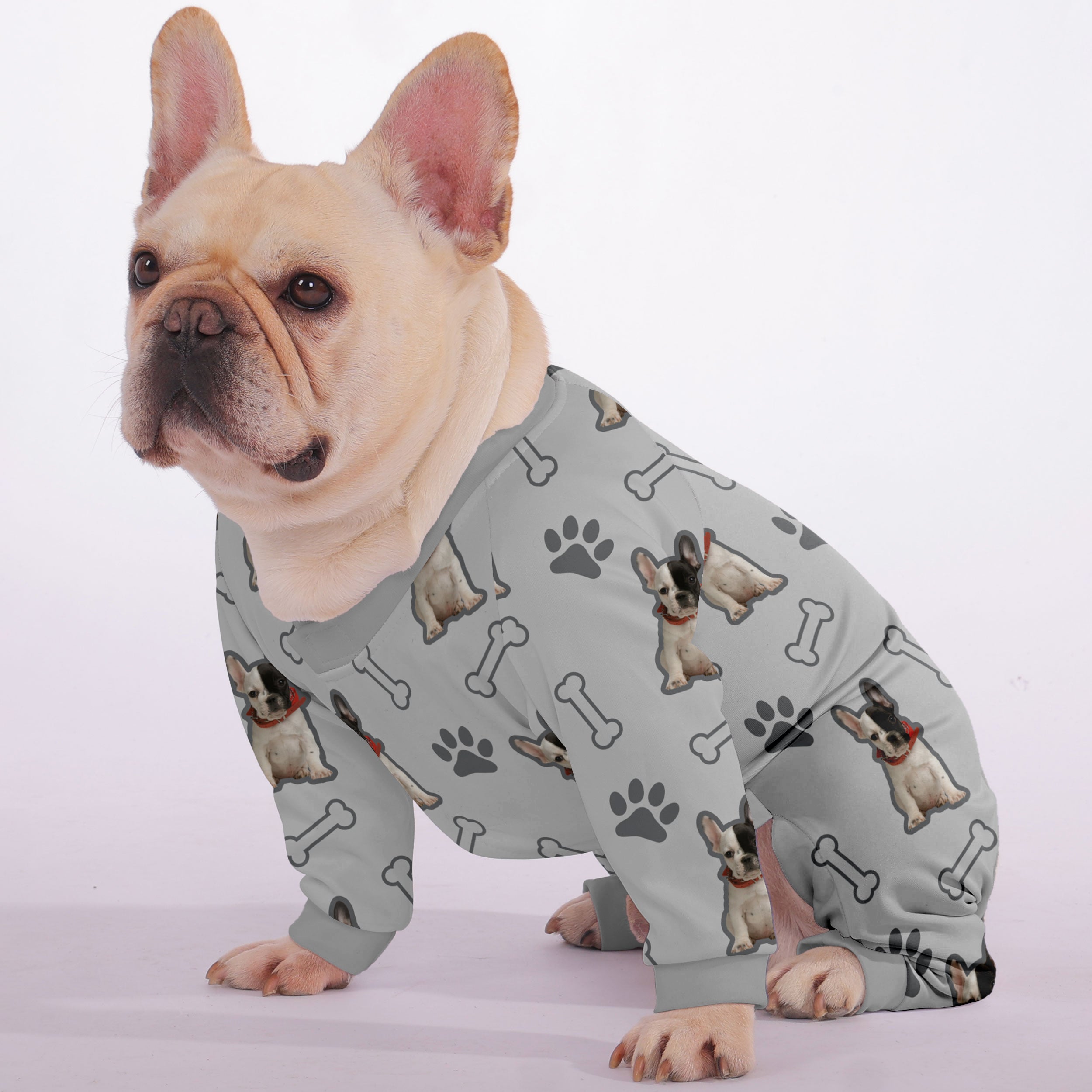 Enzo - Frenchie Pajama