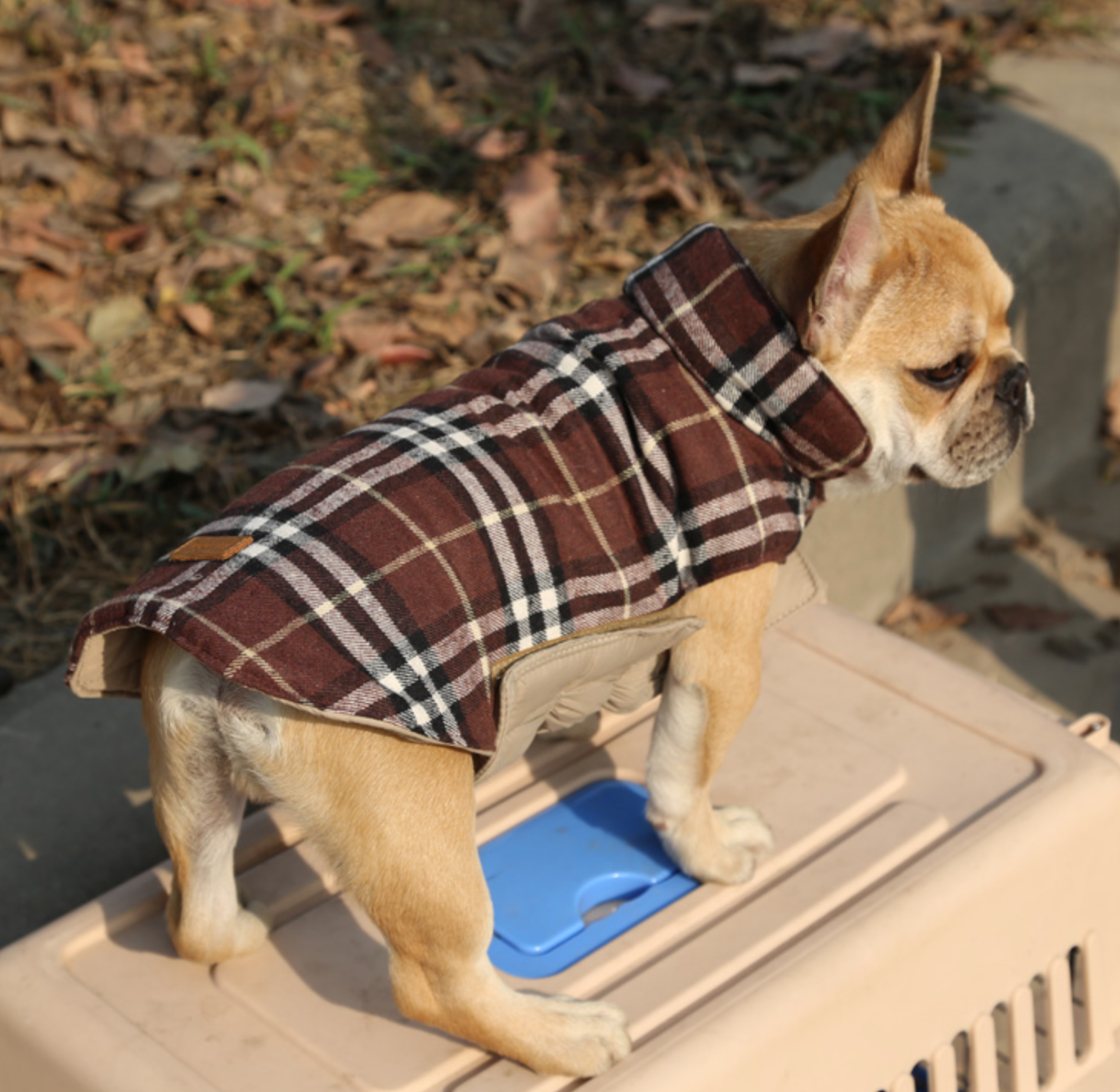 French Bulldog Jacket (ws18) For French Bulldogs | Non-slip Design