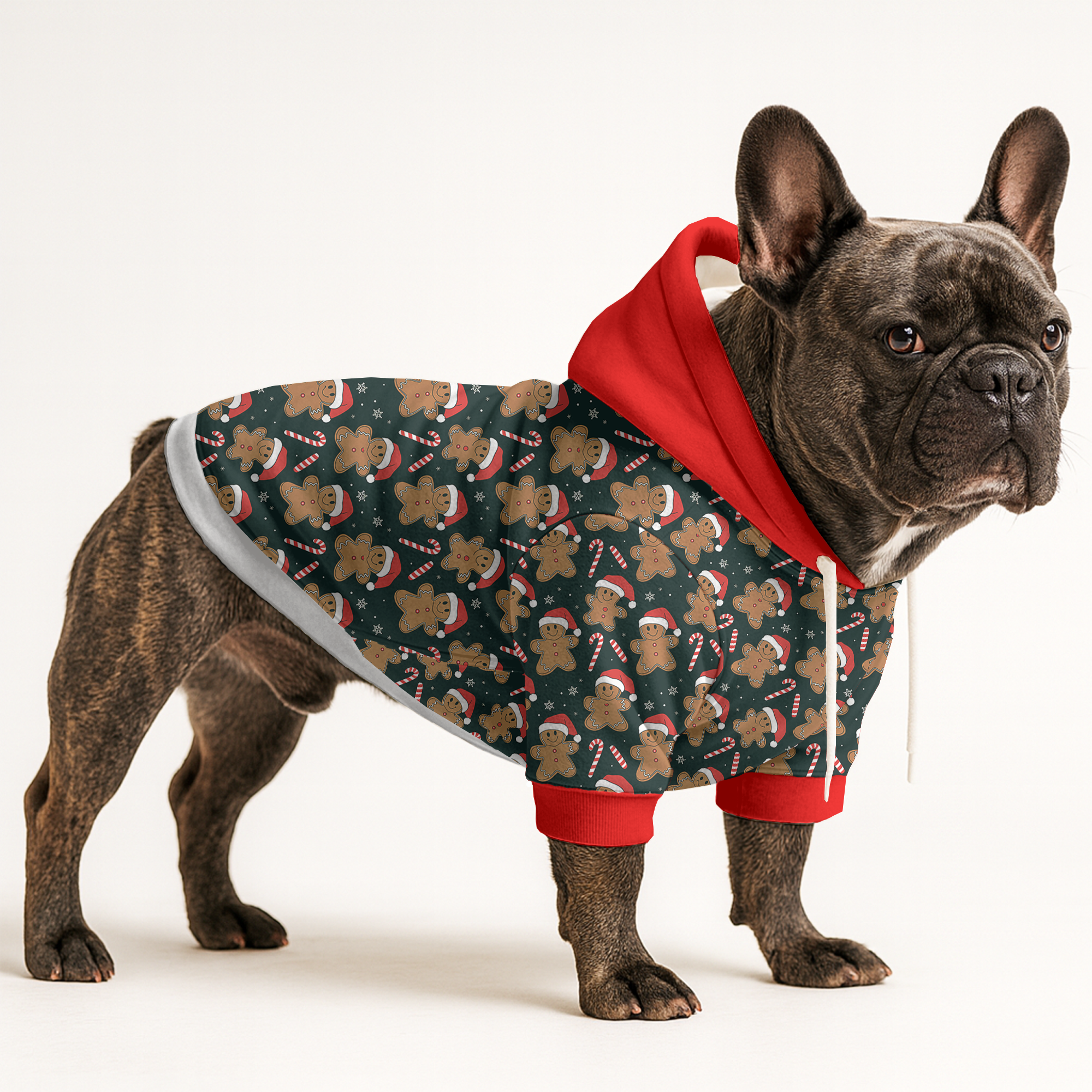 French Bulldog Chandler Frenchie Hoodie Practical Pet Supply