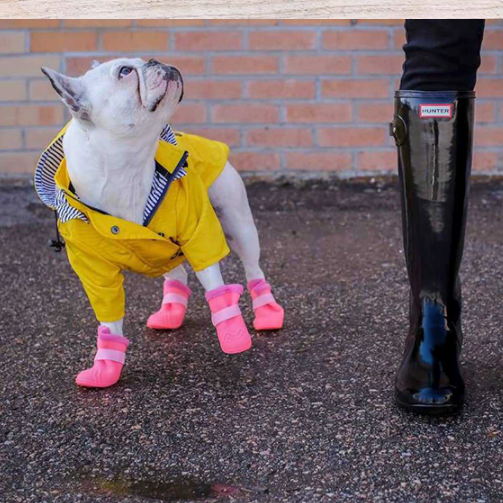 French Bulldog Cooper French Bulldog Raincoat (ws123) Comfy Pet Outfit