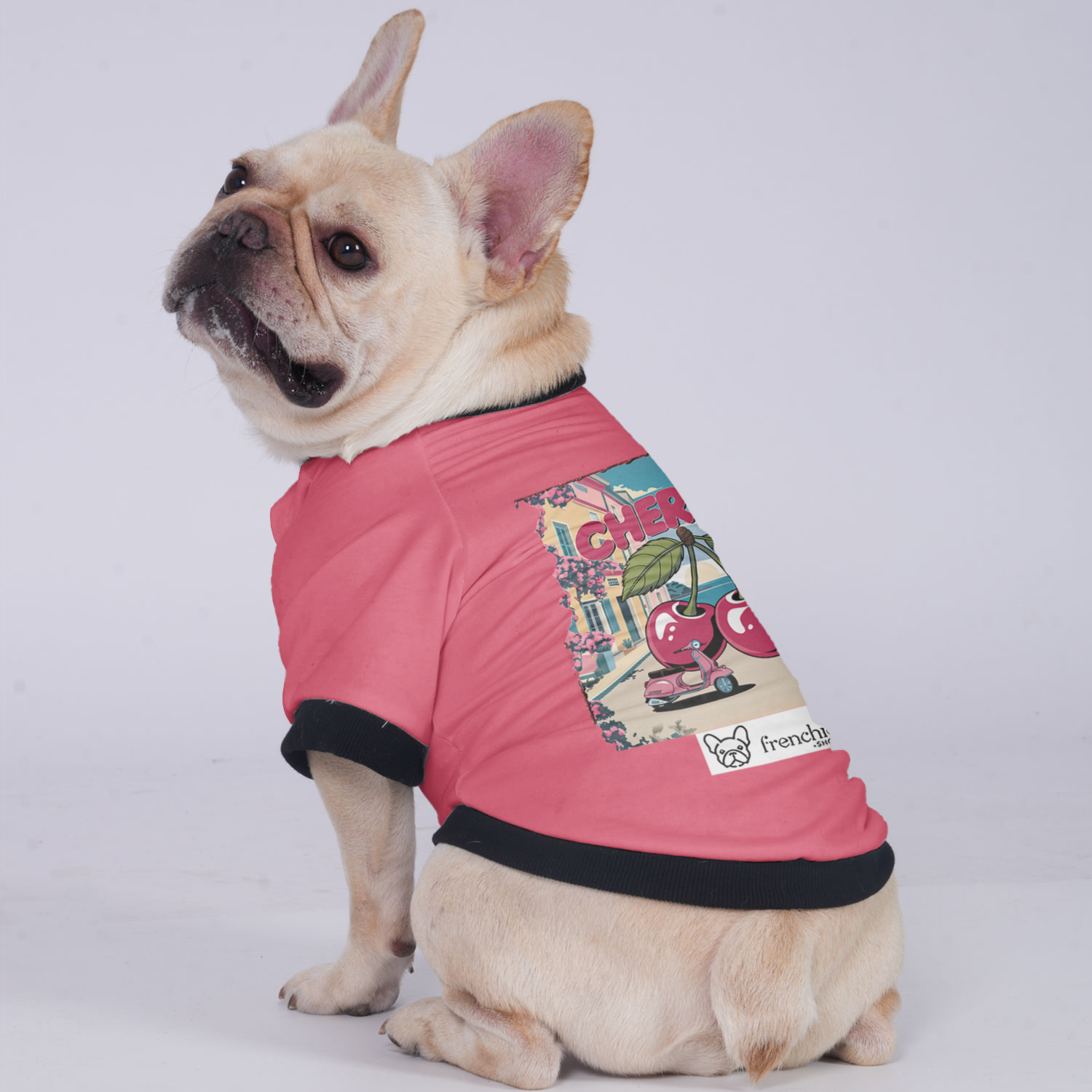 Lady - Breed-specific Jacket For French Bulldog Winter Wear