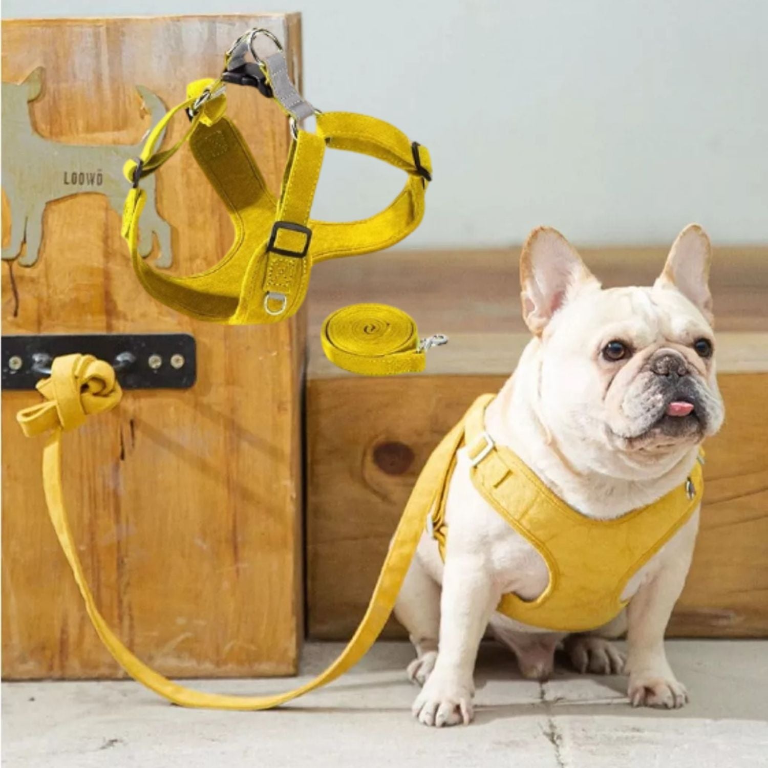 BulldoFit Luxury Suede Frenchie Harness – Breathable Vest & Leash Set