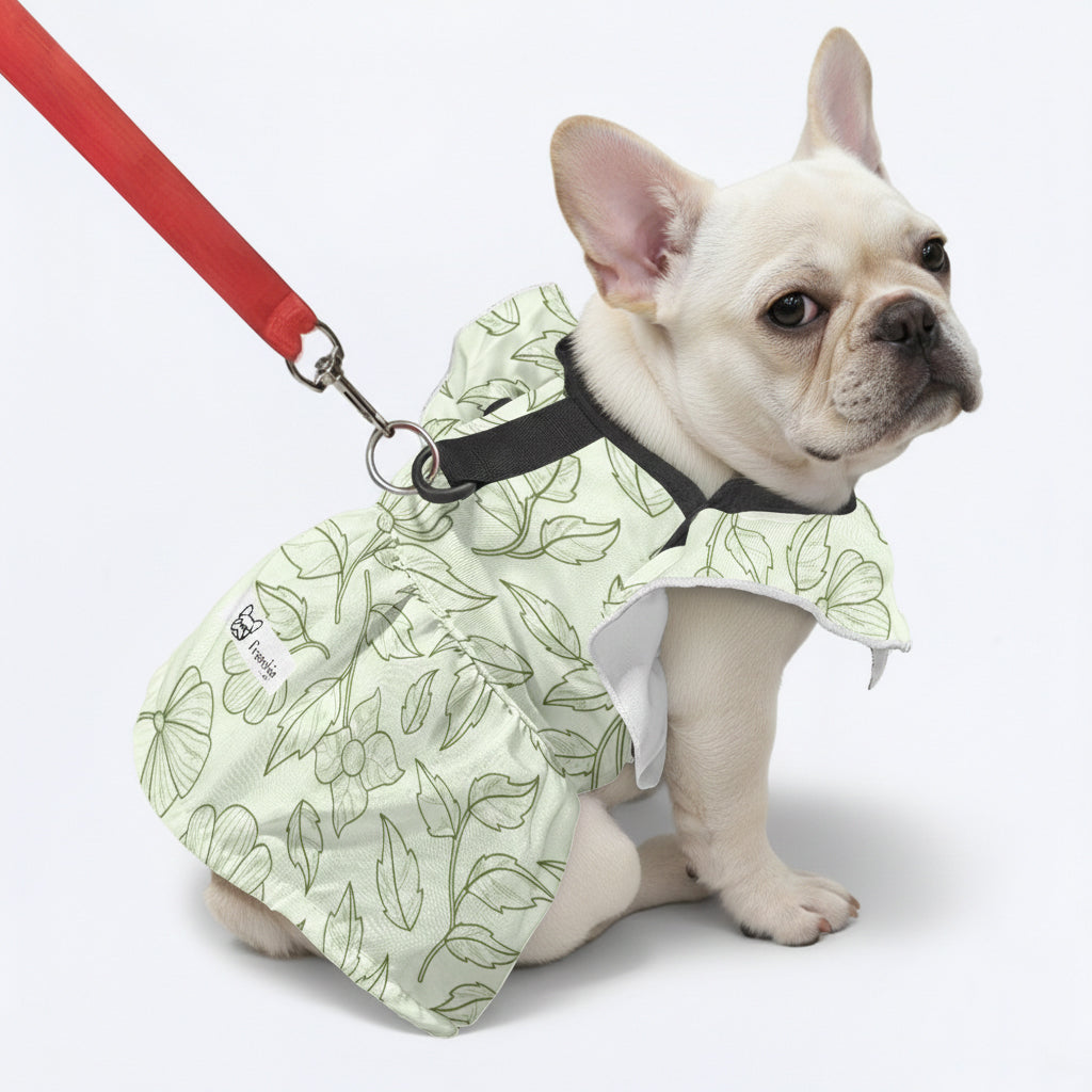 French Bulldog Lumi French Bulldog Dresses For Females Durable Dog Item