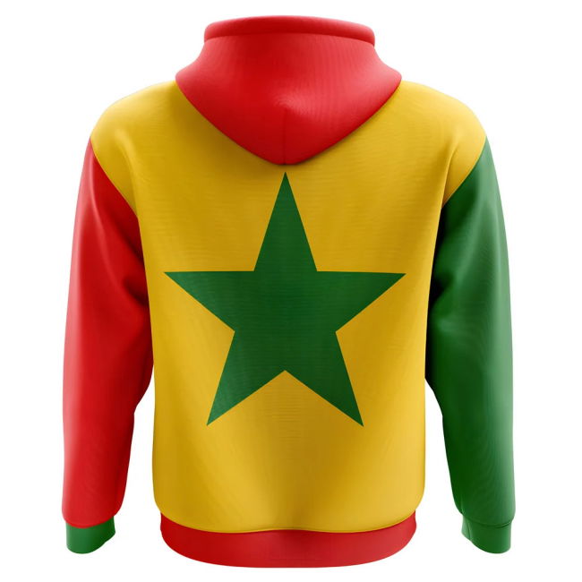 2025-2026 Senegal Third Concept Football Hoody (Kids)