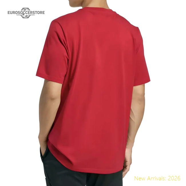 Premium 2025-2026 Liverpool Seasonal Graphic Tee (red) - Premium