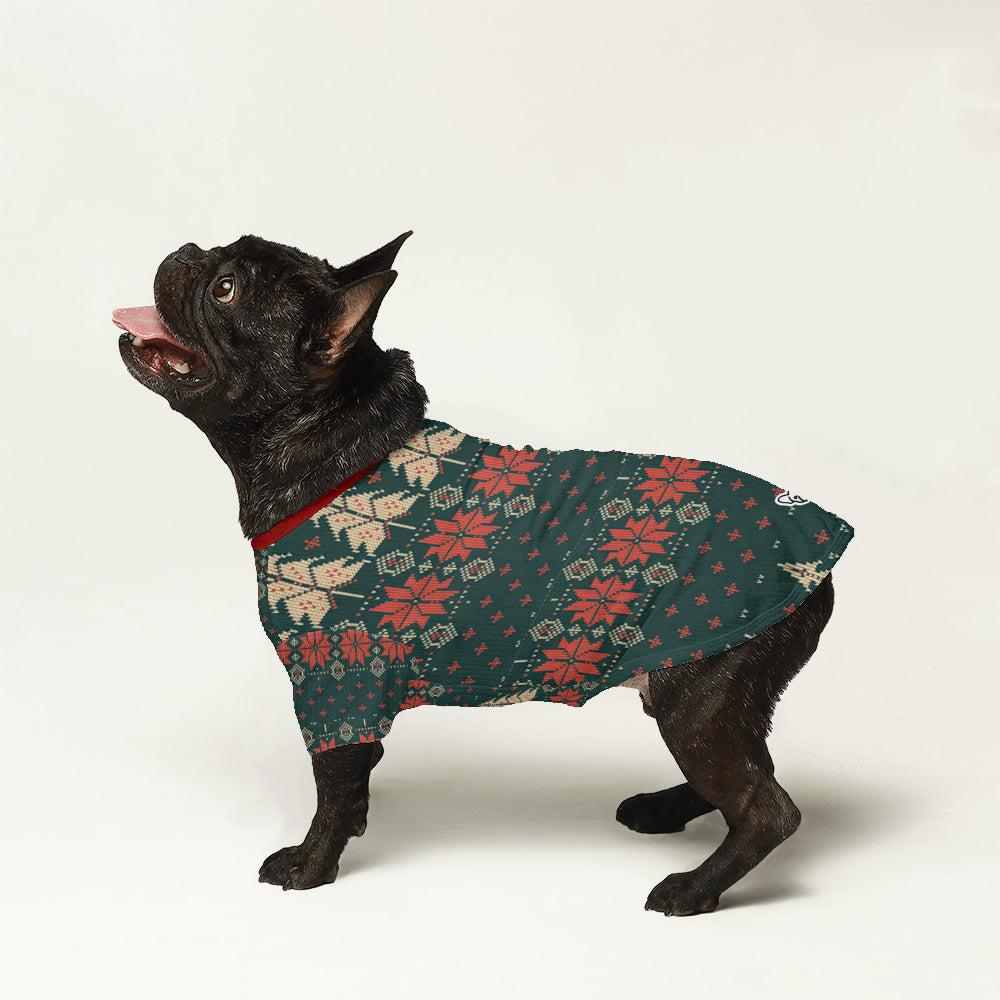 Street-Ready Daisy - Wool Sweater For Frenchies - Ugly Christmas Swea...