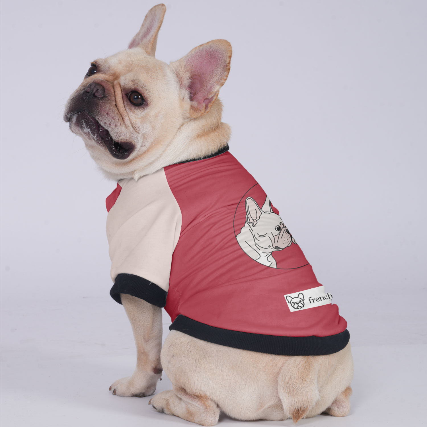 Sophie - Comfortable Jacket For French Bulldog Winter Wear