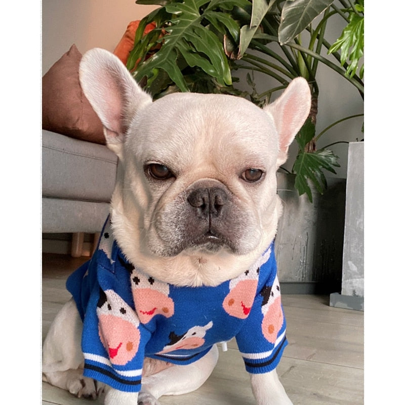 Winter Sweater for French Bulldog (WS301)