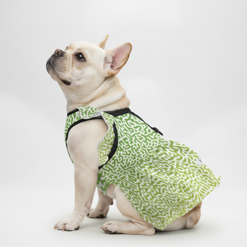 French Bulldog Opal French Bulldog Dresses For Females Durable Dog Item