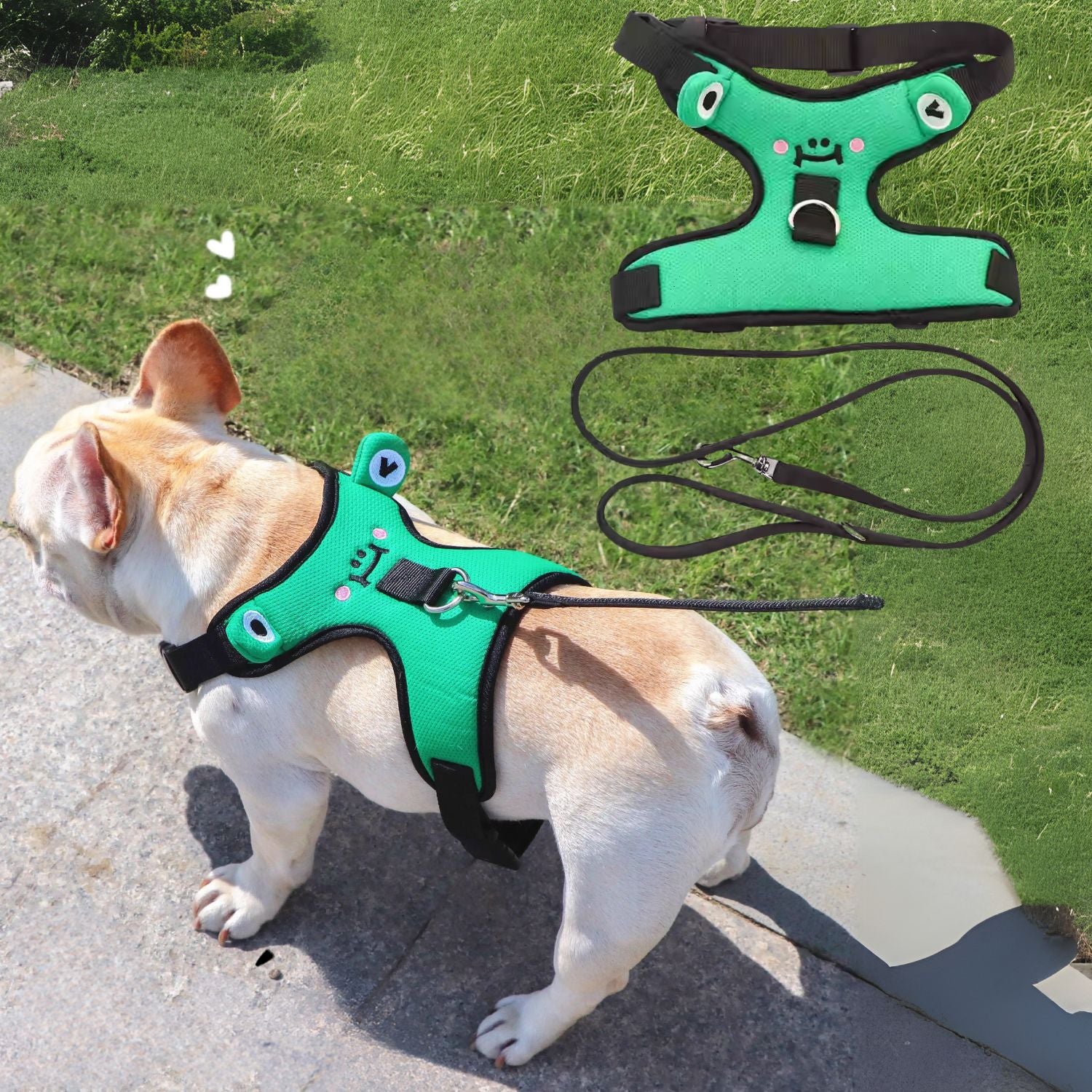 Soft Mesh Frenchie Harness with Leash – Escape-Proof Durable and Stylish Fit