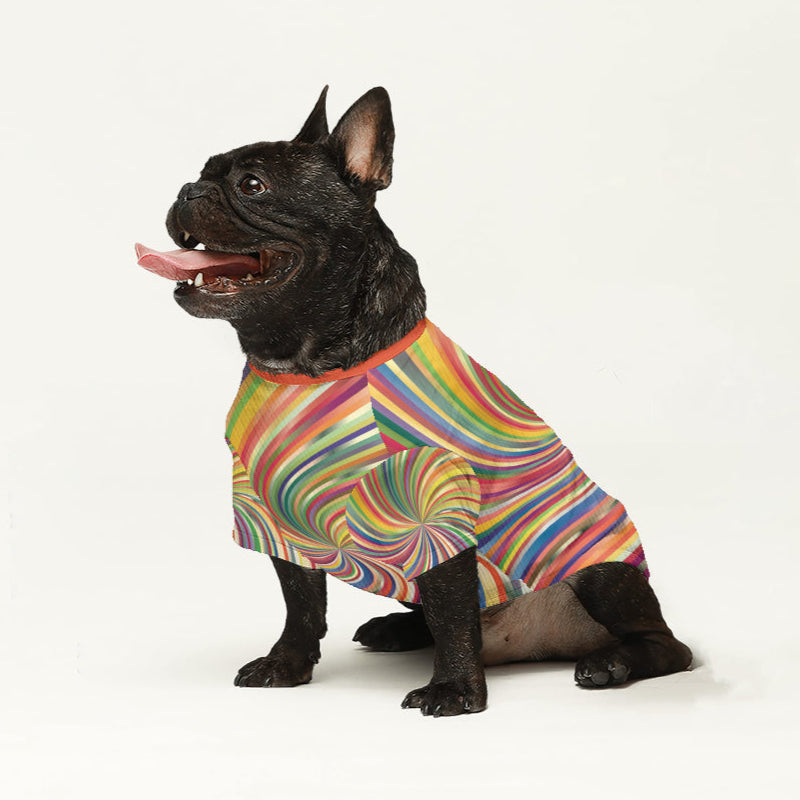 French Bulldog Dallas Wool Sweater For Frenchies Cozy Pet Winter Wear