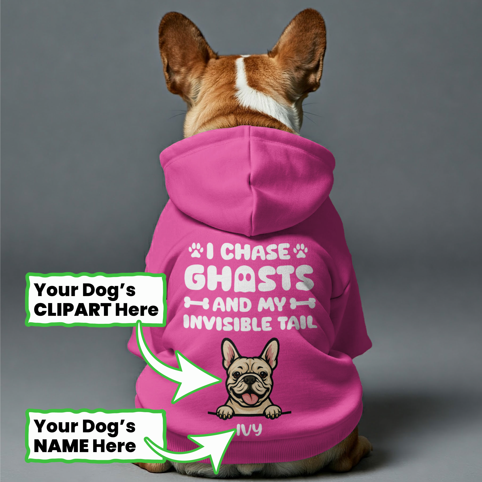 French Bulldog I Chase Ghosts Personalized French Bulldog Hoodies With