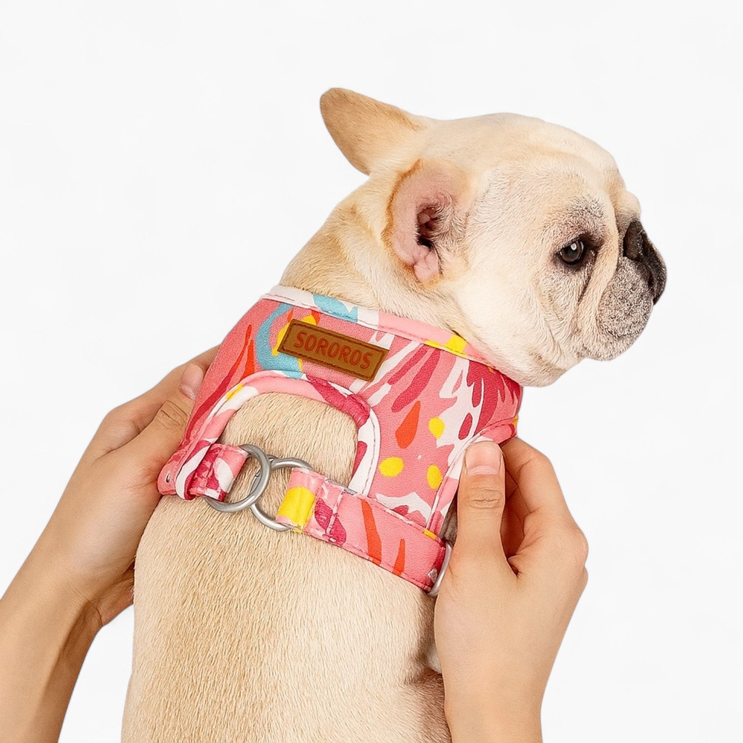 BulliWear French Bulldog Harness – Colorful No-Pull Dog Vest with Leash