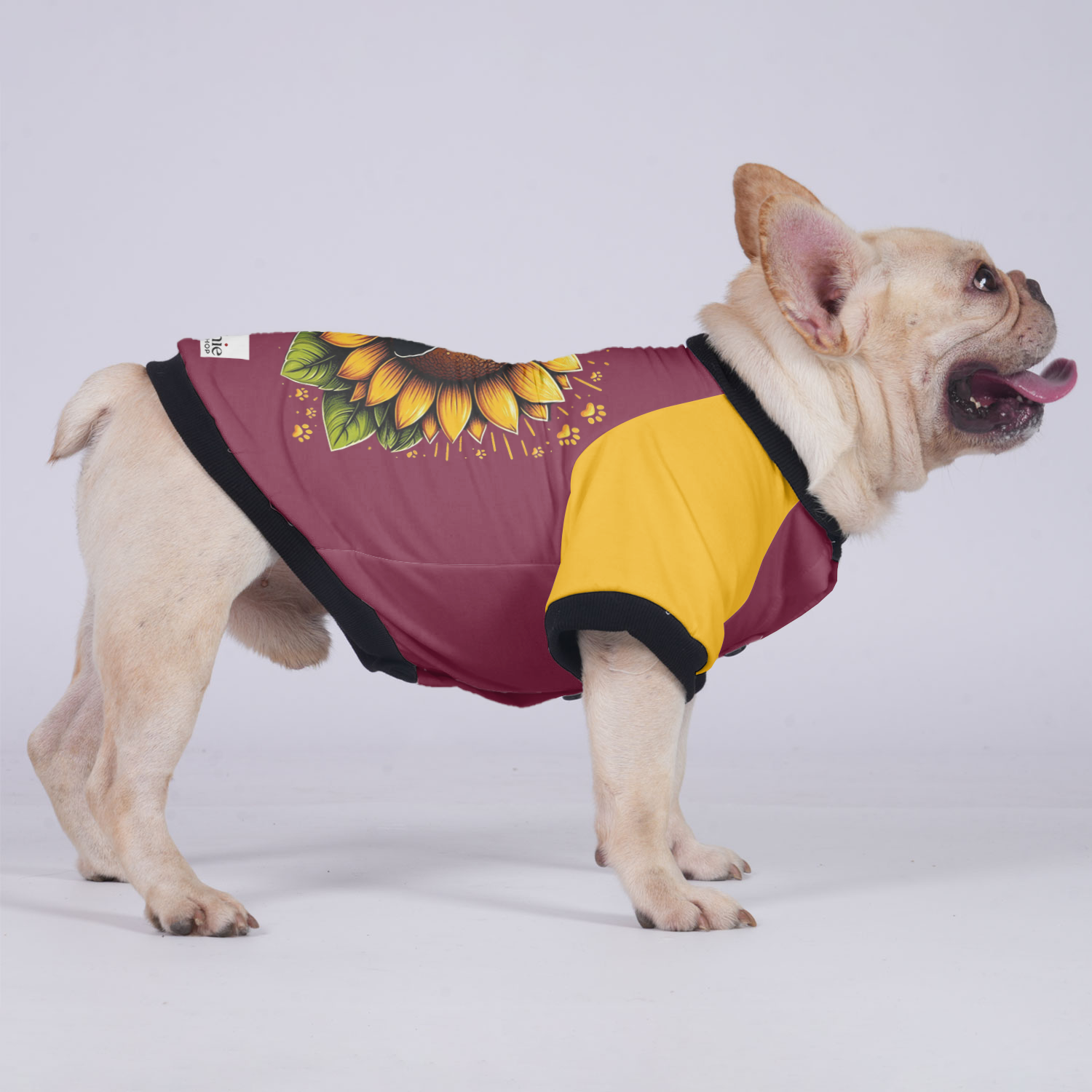 Lifestyle-Driven Toby - Jacket For French Bulldog for Daily Life Premium
