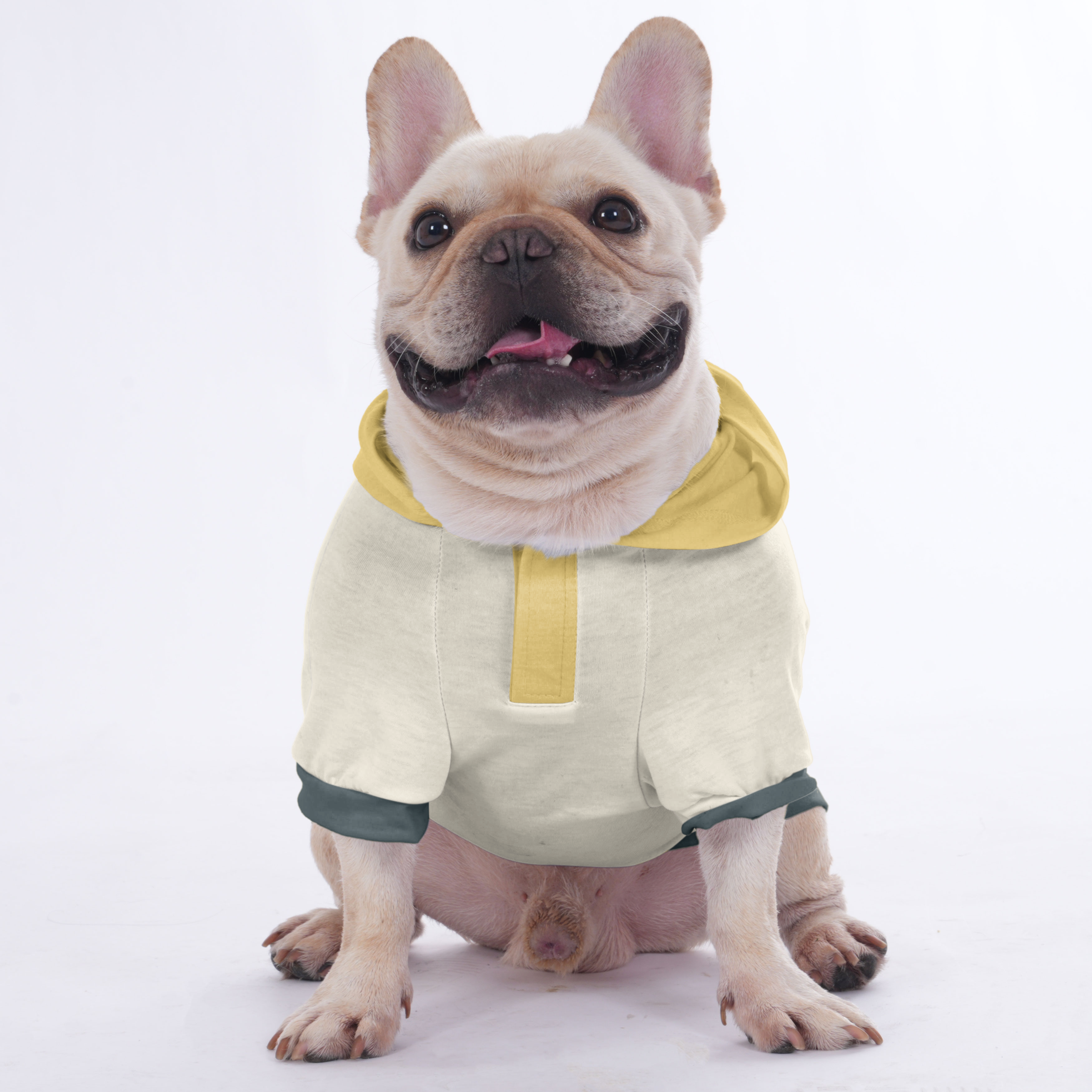 French Bulldog Shelby Hoodies For French Bulldog | Frenchie Shop