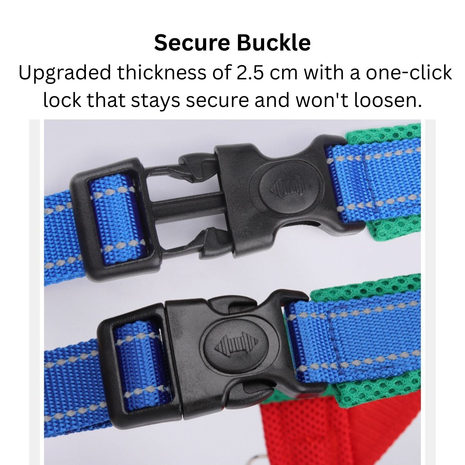 Secure-Fit Frenfit Frenchie Harness And Leash Set – No-pull Y-shaped ...