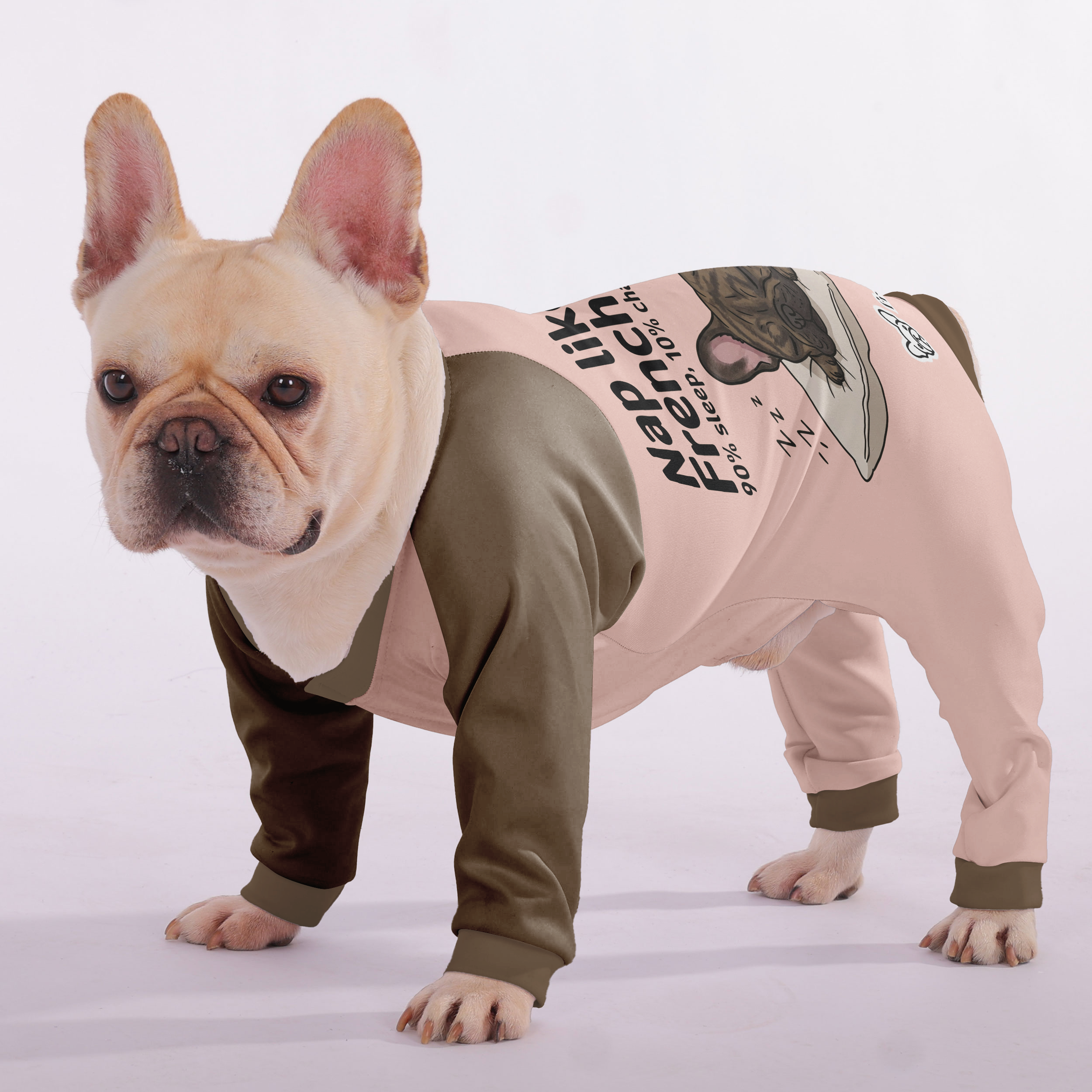 French Bulldog Nap Like A Frenchie: 90% Sleep, 10% Chaos Frenchie