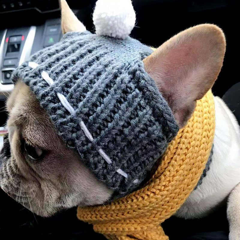 Winter - French Bulldog Themed Woolen Hat For French Bulldog Casual Wear