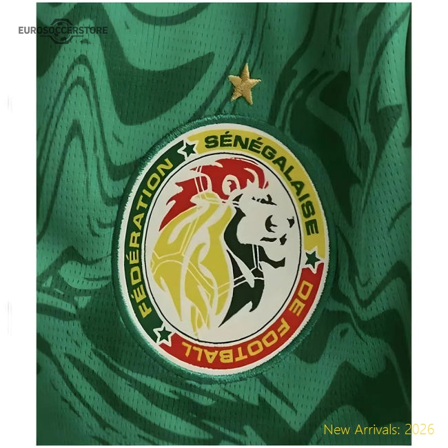 Exceptional 2024-2025 Teranga Lions Alternate Jersey - Match Quality