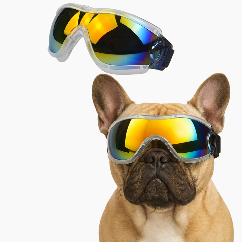 Bulldog Goggles – Windproof Uv Protection Dog Sunglasses Outdoor Use