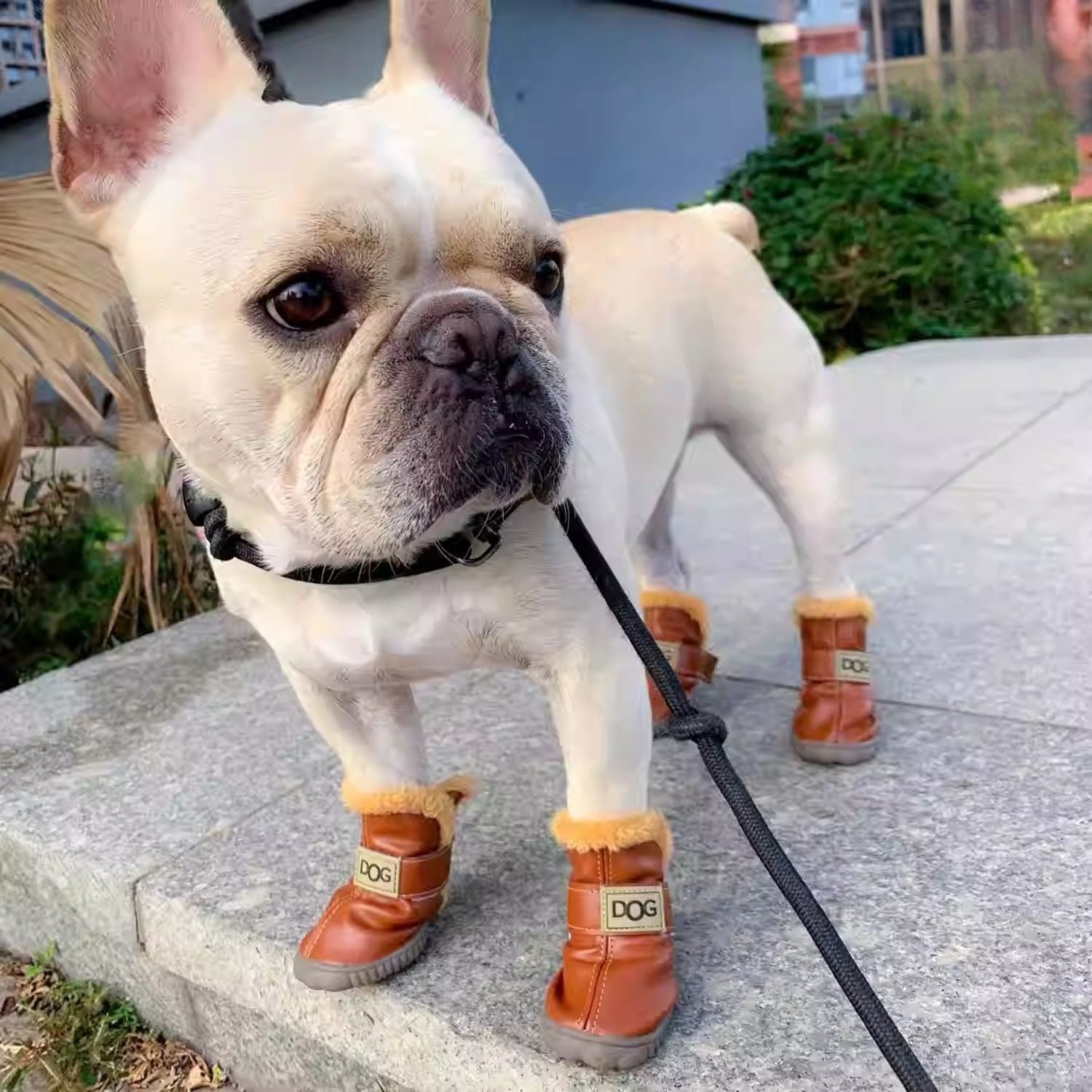 Lifestyle-Driven Furstride Warm French Bulldog Shoes – Soft Durable A...