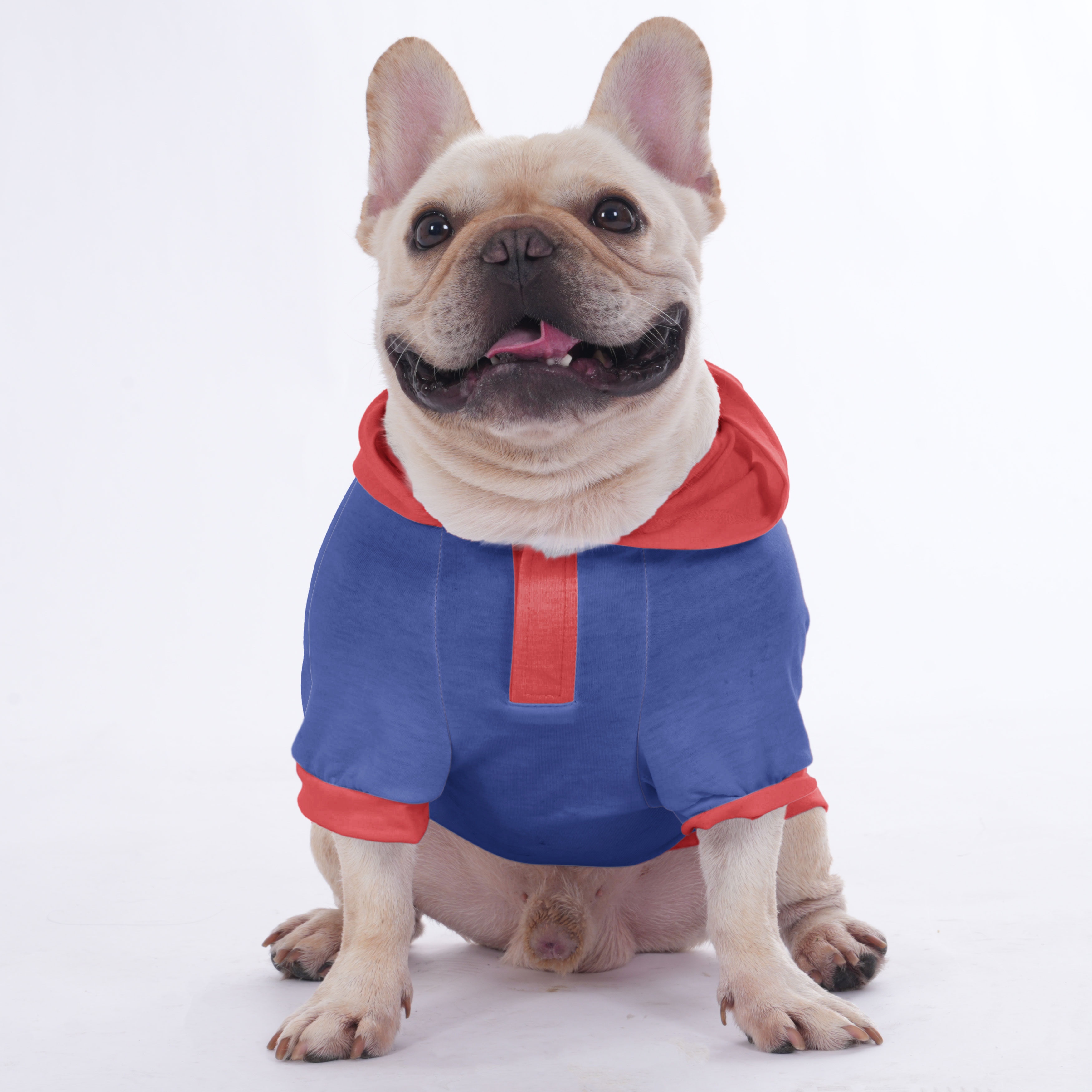 Customized French Bulldog Hoodies Highlighting Your Dog’s Photo and Name | Frenchie Shop Original
