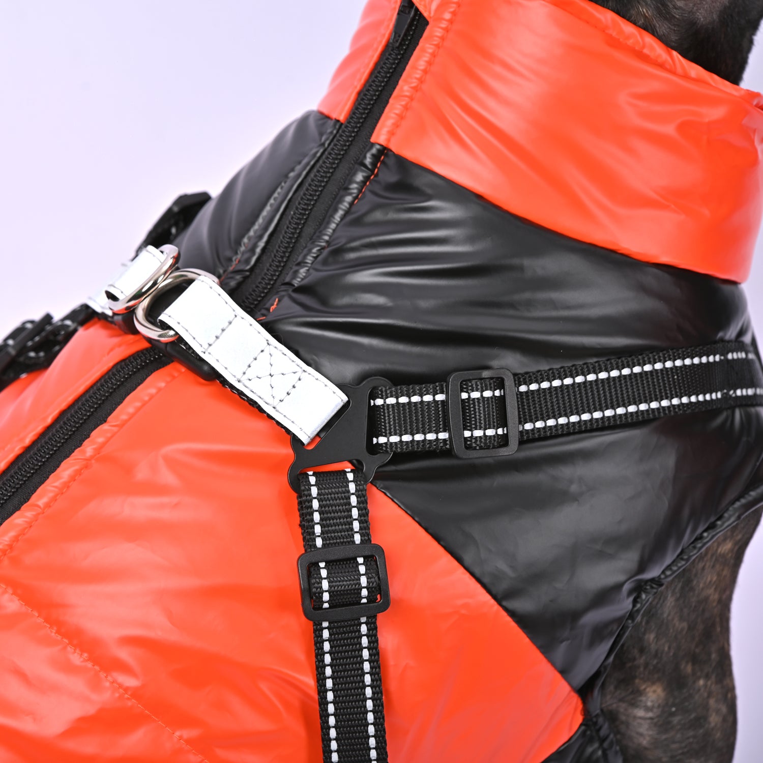 French Bulldog Snowy Snuggles Frenchie Warm Reflective Winter Jacket V1 Warm Dog Outfit