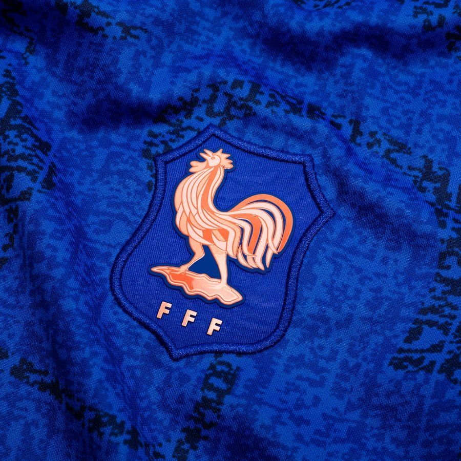 France Training T Shirt Dri Fit Academy Pro Pre Match Women's Euro 2025