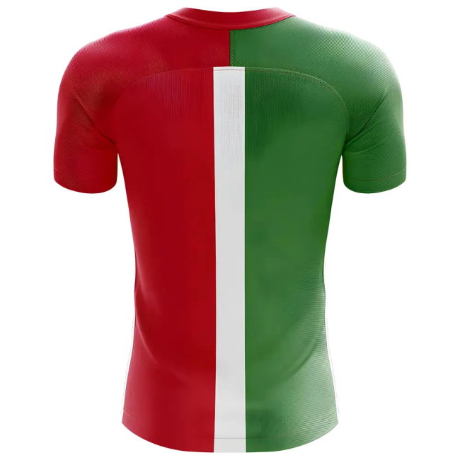 Italy Flag Shirt 2025-2026 edition