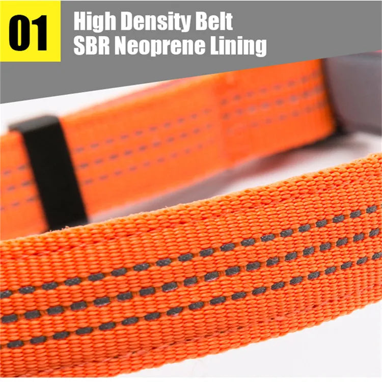 French Bulldog Luxeen Frenchie 3m Reflective Collar – Adjustable Padded