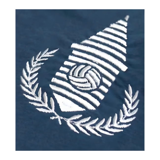 Everton Special Edition Jersey Everton