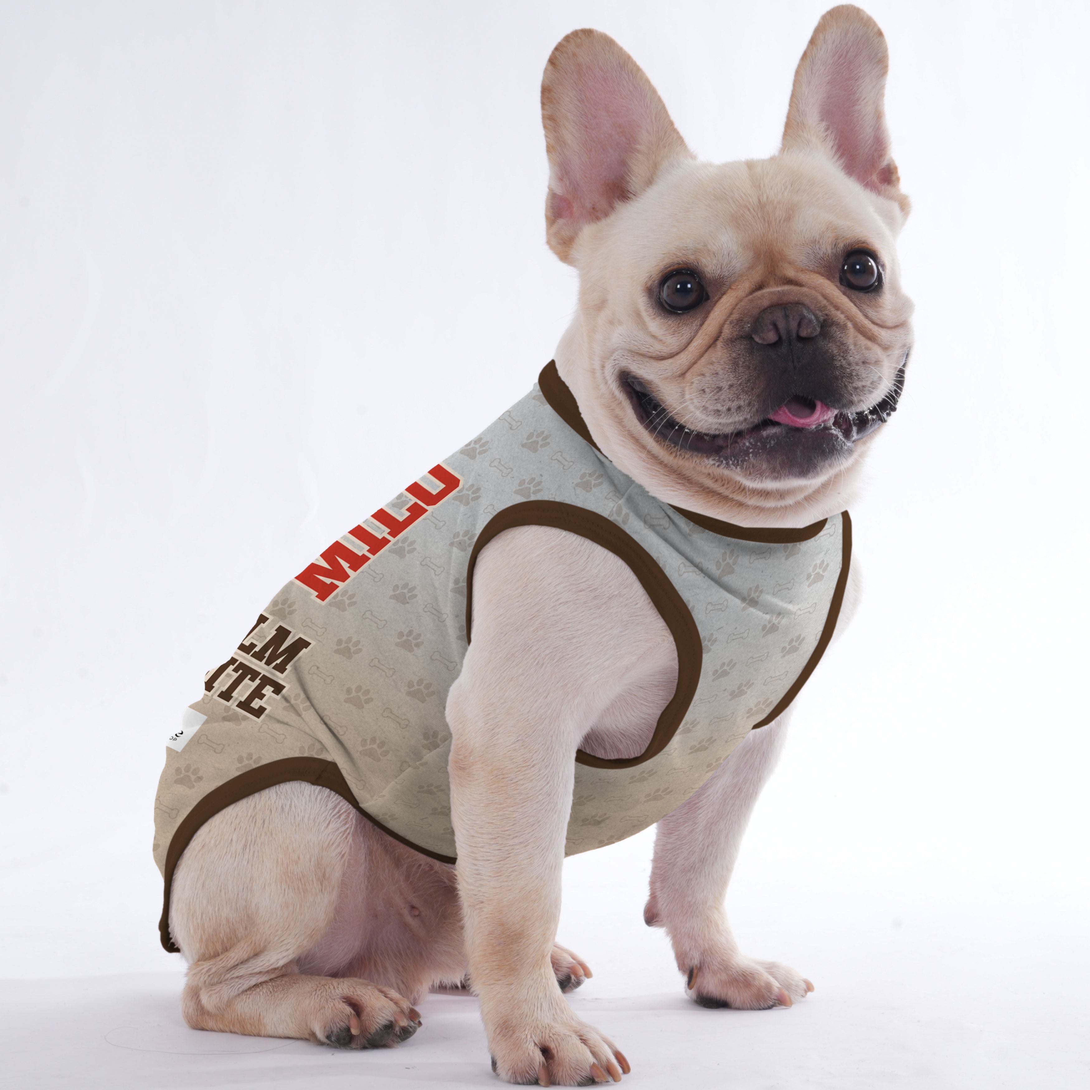 Your Pup’s Image And Name - Comfy Frenchie Shop Original Indoor Comfort