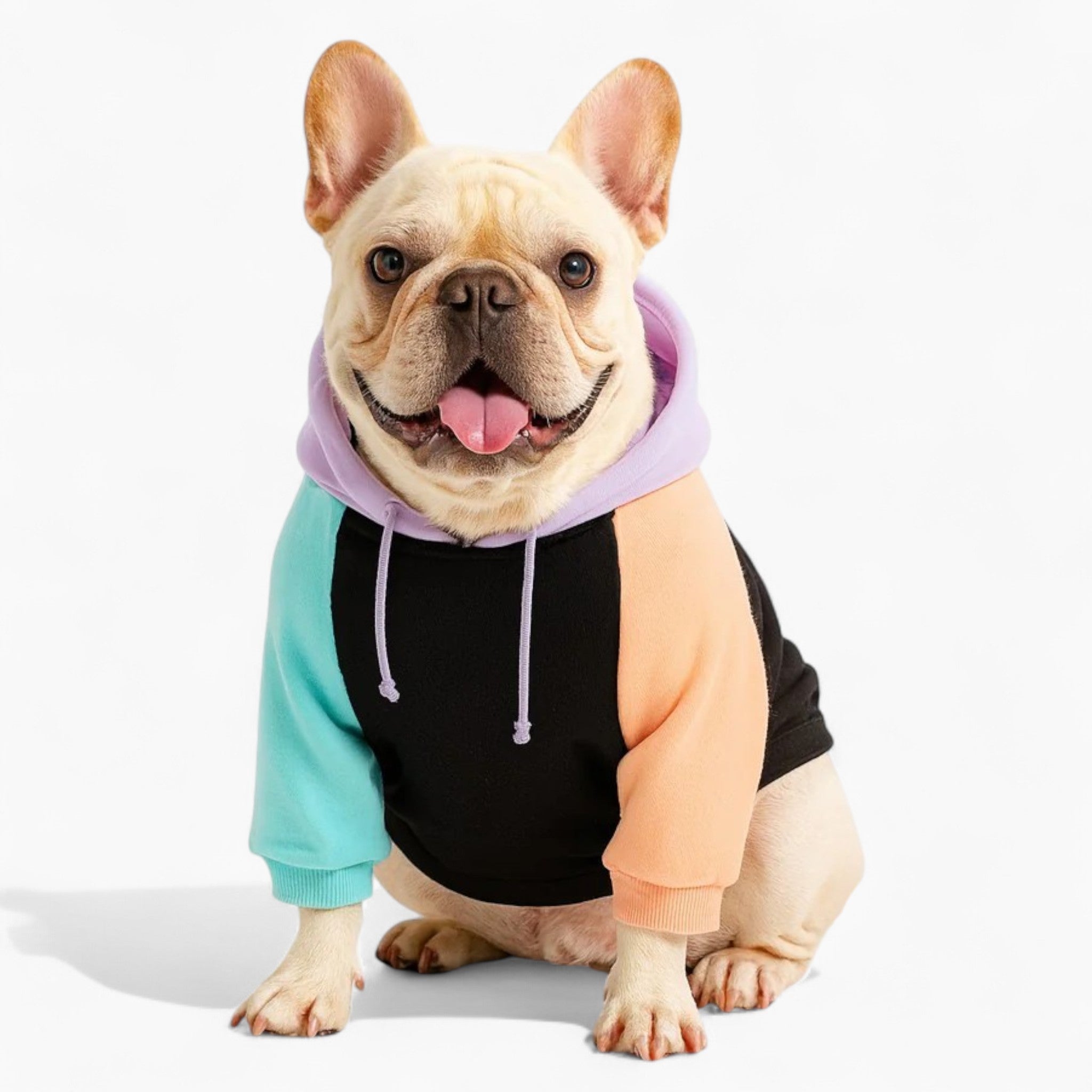 Pet-Lover Pawver Frenchie Human Matching Hoodie – Soft Colorblock Loo...