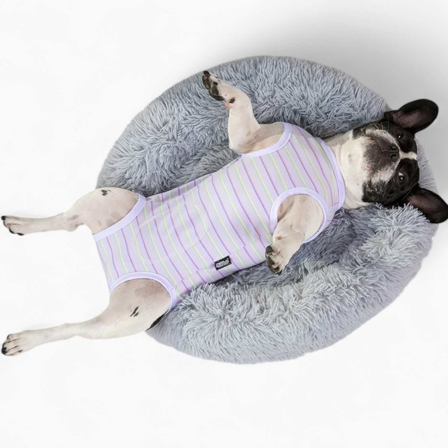 French Bulldog Bullofit French Bulldog Recovery Shirt – Zip Up Anti