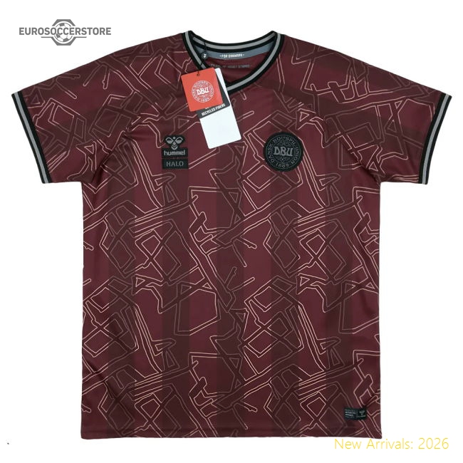 High-performance Denmark 2024-2025 Regular Jersey (den Mobility