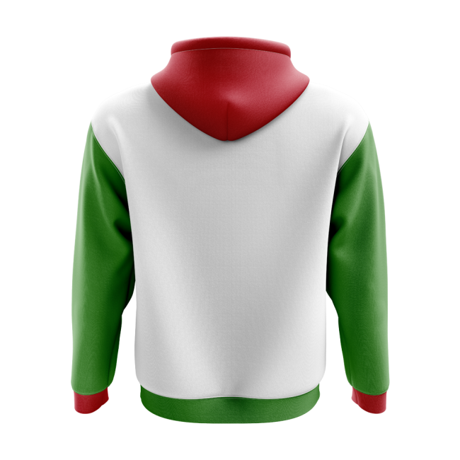 Pro-Grade Climate-Control Iran Concept Country Football Hoody (White)