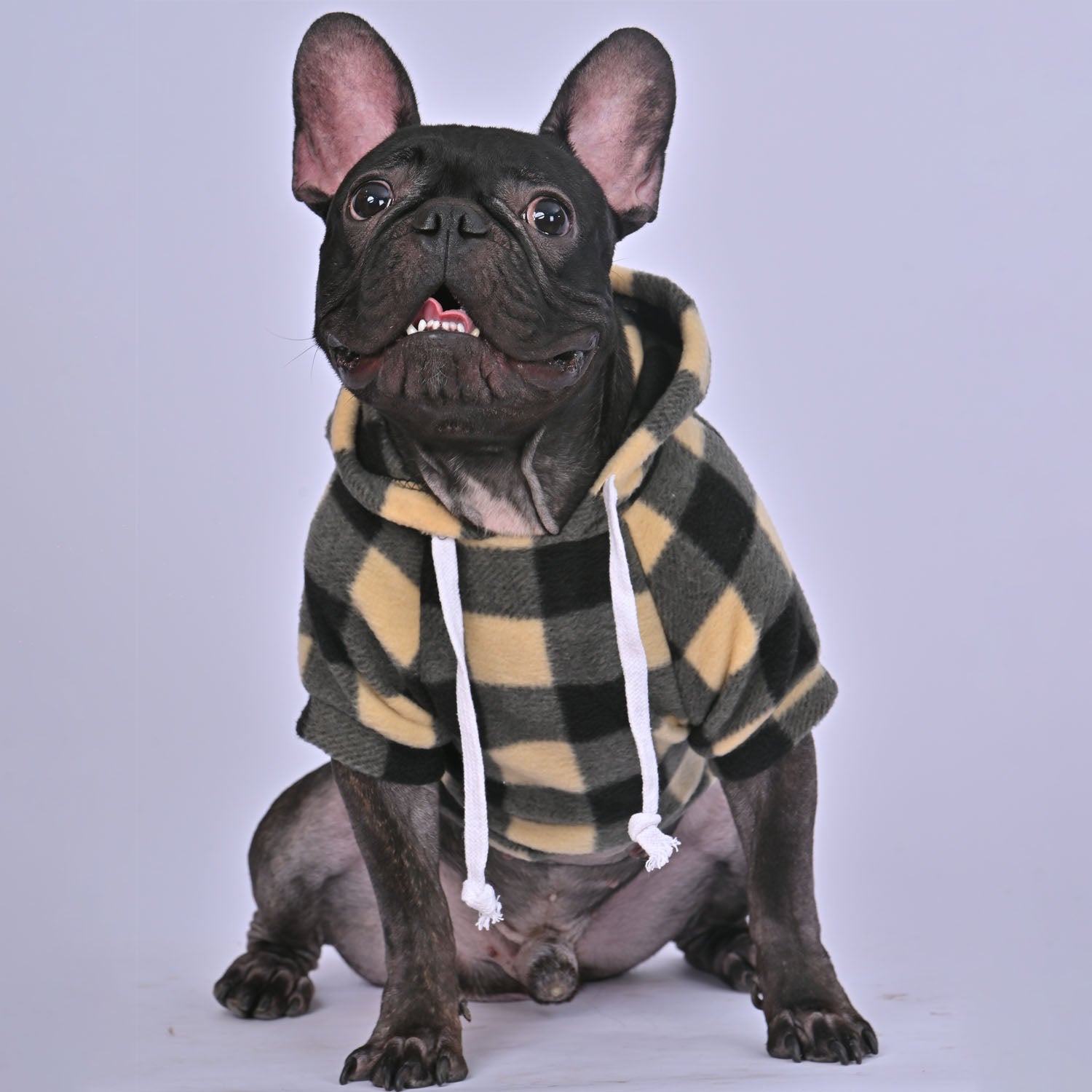 Durable Plaid Printing French Bulldog Warm Hoodies for Home Use