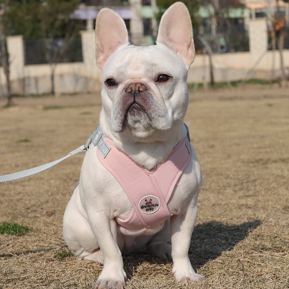 Refleciere Frenchie Breathable Harness Leash Set