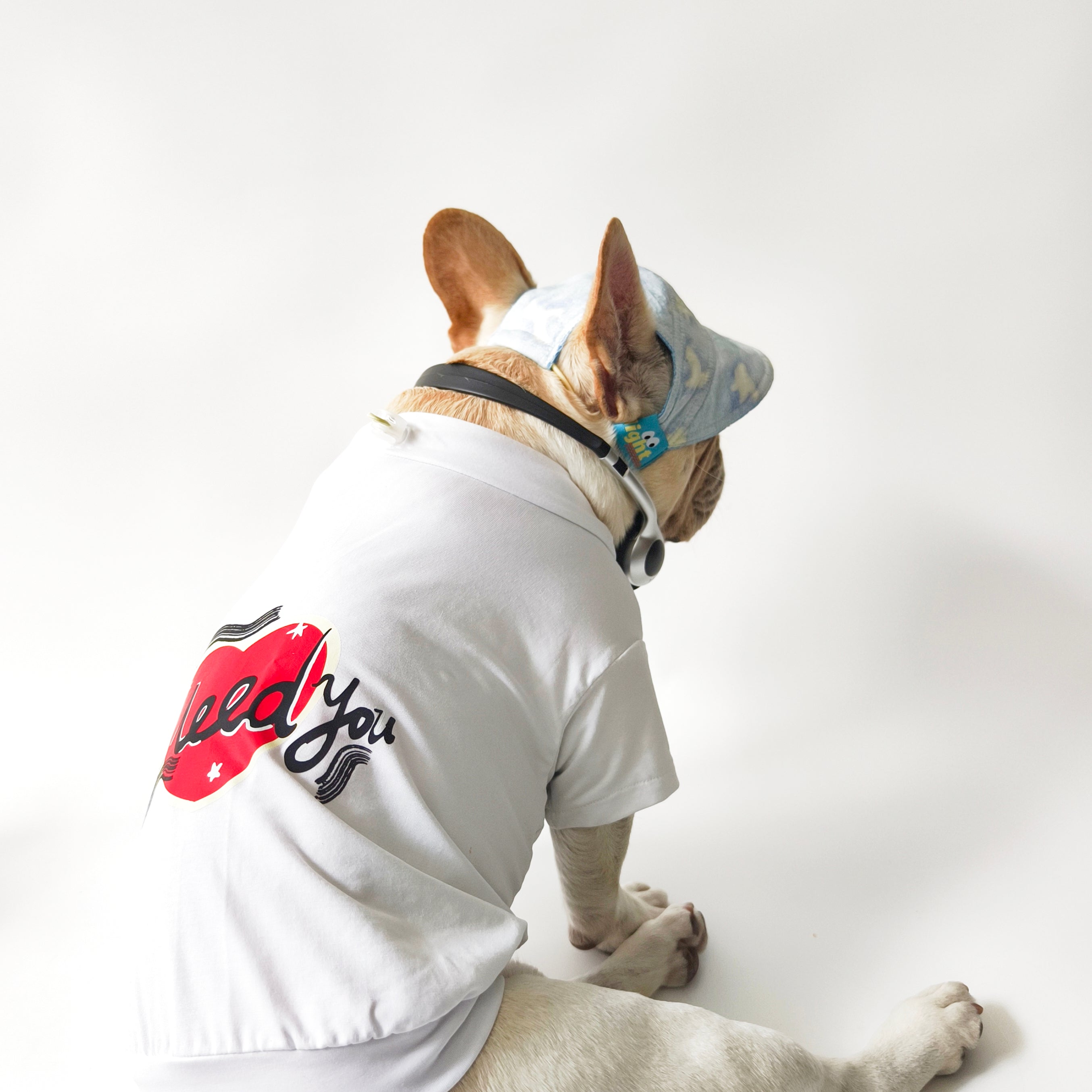 French Bulldog Hat – Adjustable Comfortable Denim Light Cap